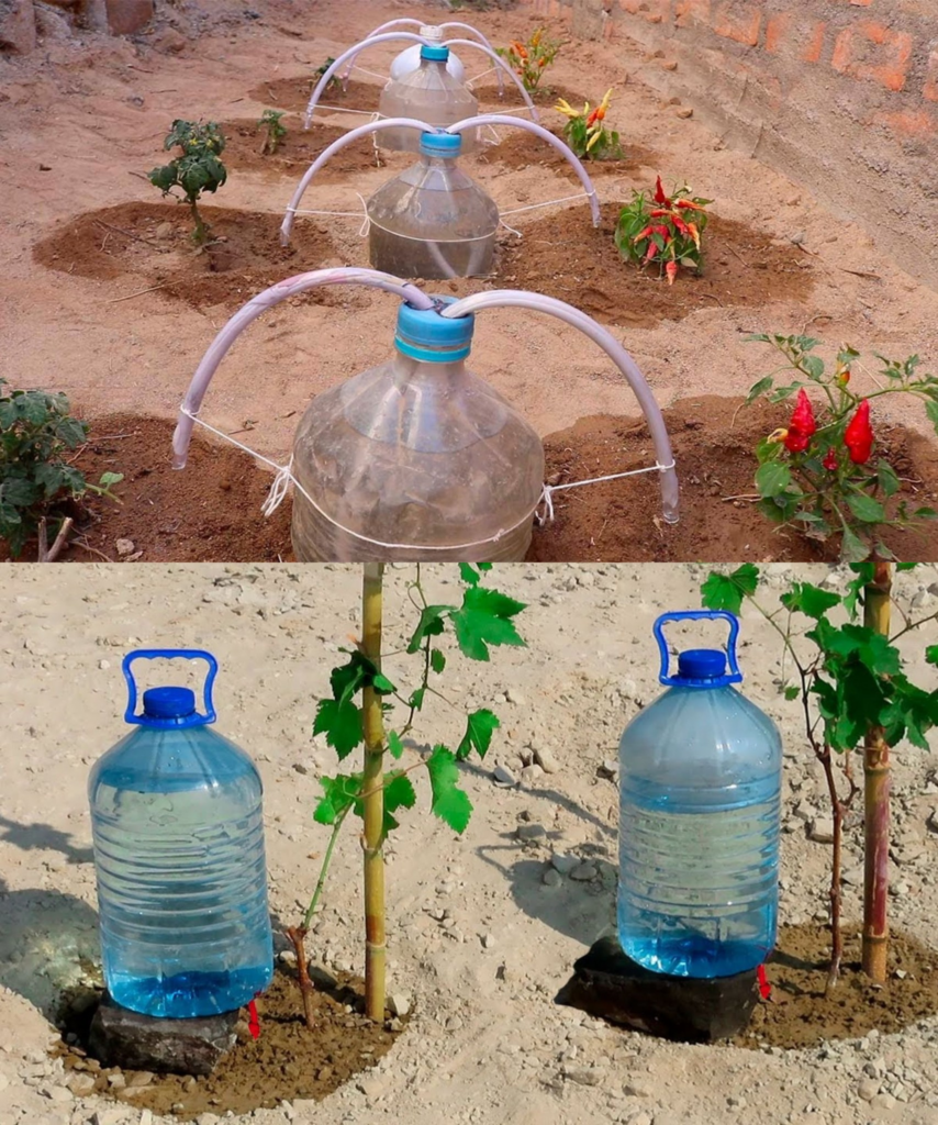 El Sistema M S Sencillo Para Regar Pepinos Tomates Calabacines Sand As Y Melones Consejos